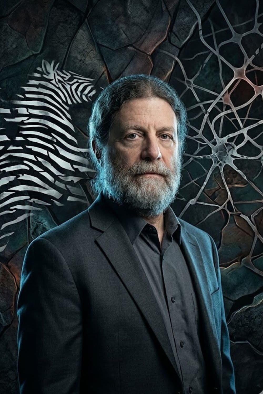 Why Zebras Don't Get Ulcers