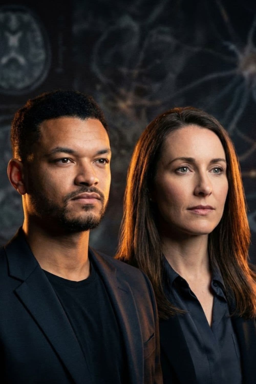 Alcohol and the Brain